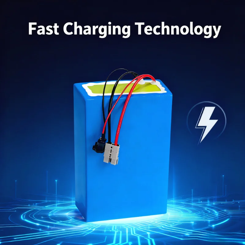 Akumulator litowo-jonowy BMS 7 – 72V 60Ah Lifepo4 Battery Pack recenzja i cena